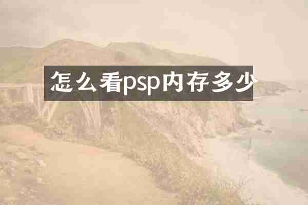 怎么看psp内存多少