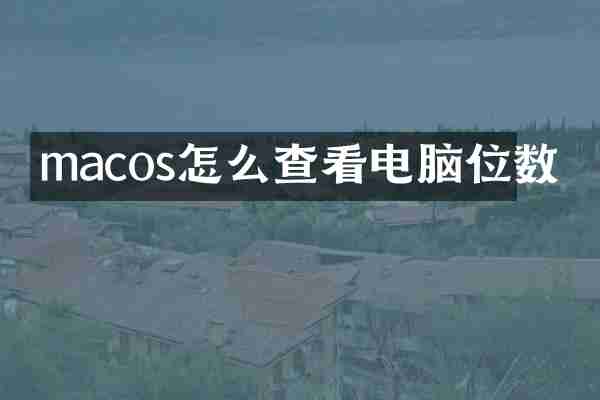 macos怎么查看电脑位数