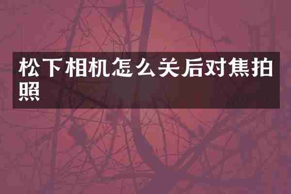 松下相机怎么关后对焦拍照