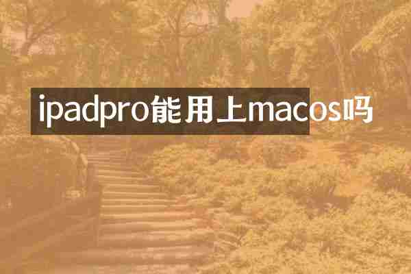 ipadpro能用上macos吗
