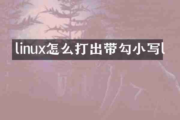 linux怎么打出带勾小写l
