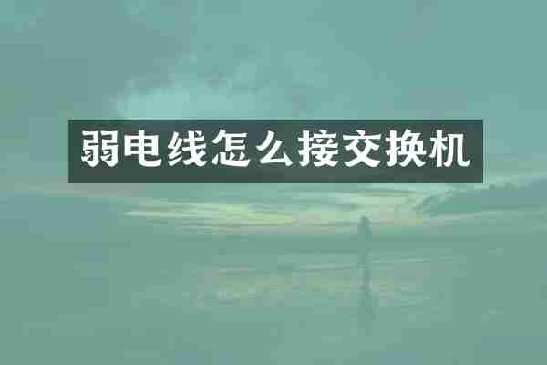 弱电线怎么接交换机