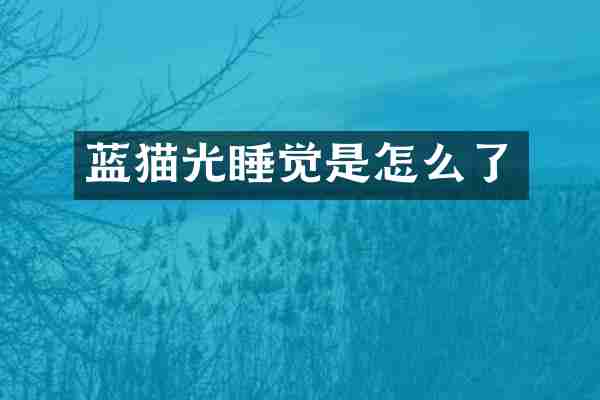蓝猫光睡觉是怎么了