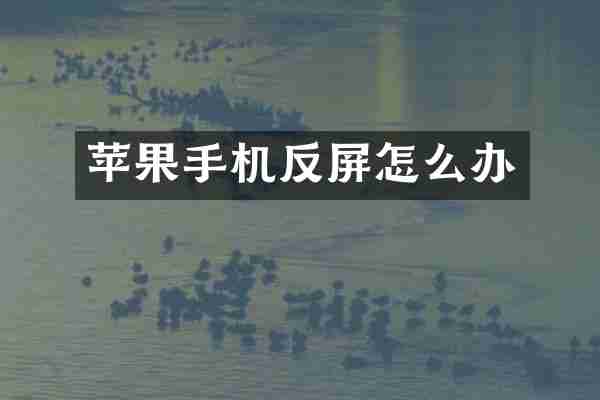 苹果手机反屏怎么办