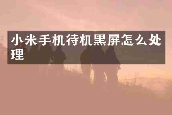 小米手机待机黑屏怎么处理