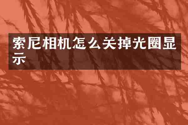 索尼相机怎么关掉光圈显示