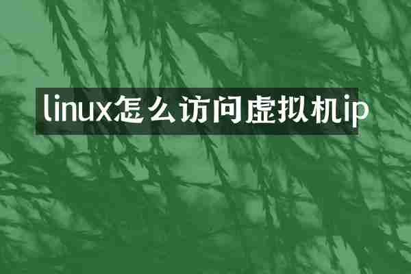 linux怎么访问虚拟机ip