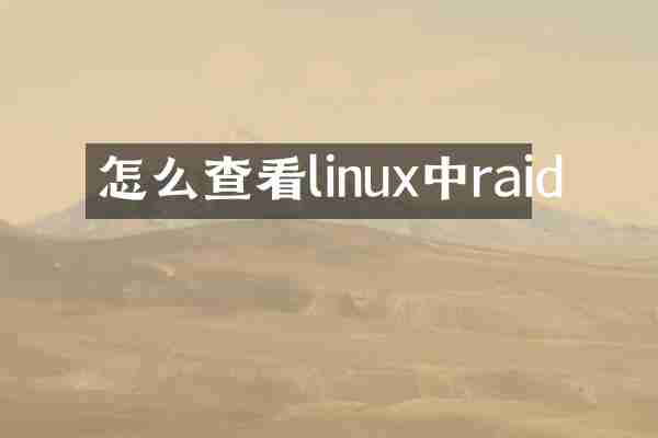 怎么查看linux中raid