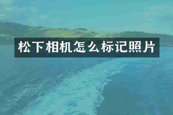 松下相机怎么标记照片