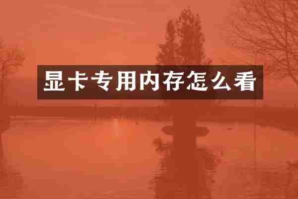 显卡专用内存怎么看