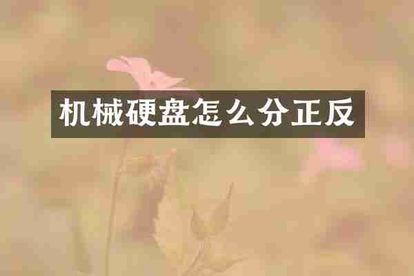 机械硬盘怎么分正反