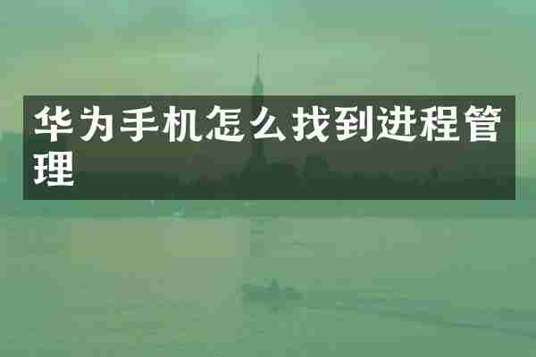 华为手机怎么找到进程管理