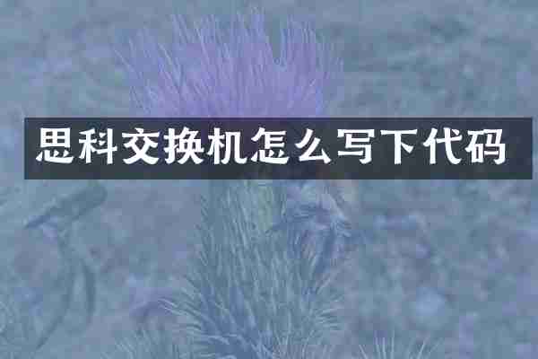 思科交换机怎么写下代码