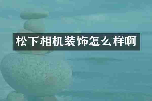 松下相机装饰怎么样啊