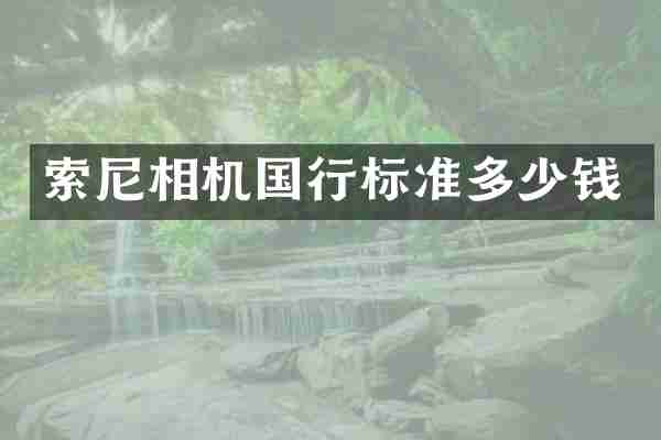 索尼相机国行标准多少钱