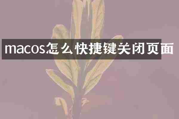 macos怎么快捷键关闭页面