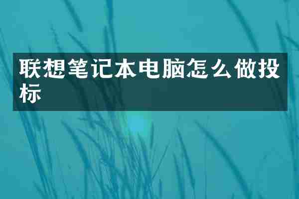 联想笔记本电脑怎么做投标
