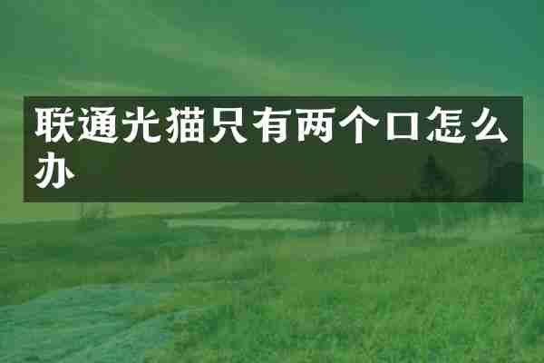 联通光猫只有两个口怎么办