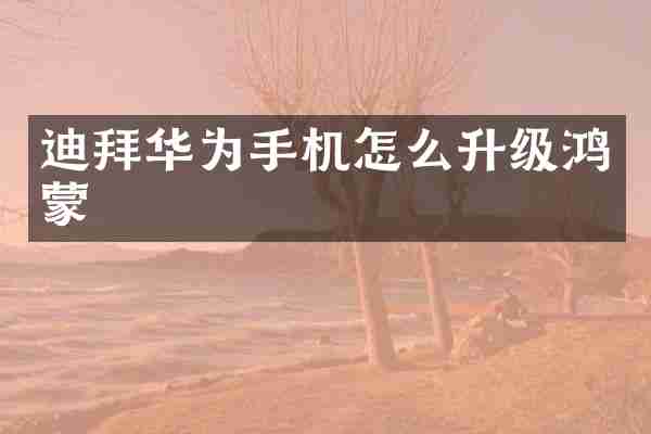 迪拜华为手机怎么升级鸿蒙