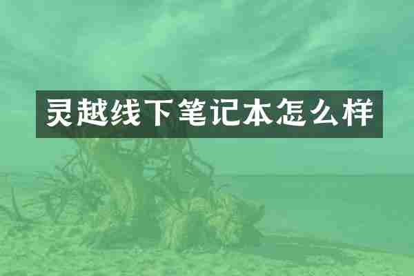 灵越线下笔记本怎么样