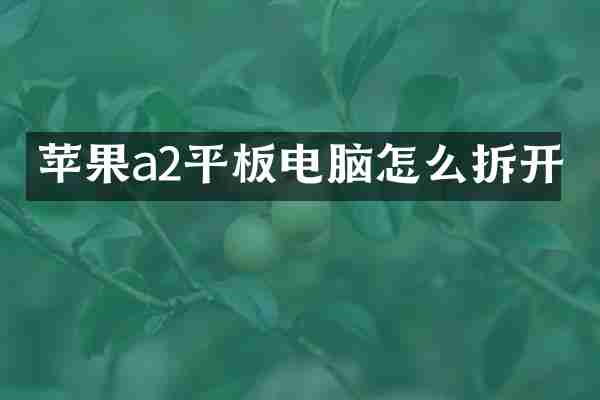 苹果a2平板电脑怎么拆开
