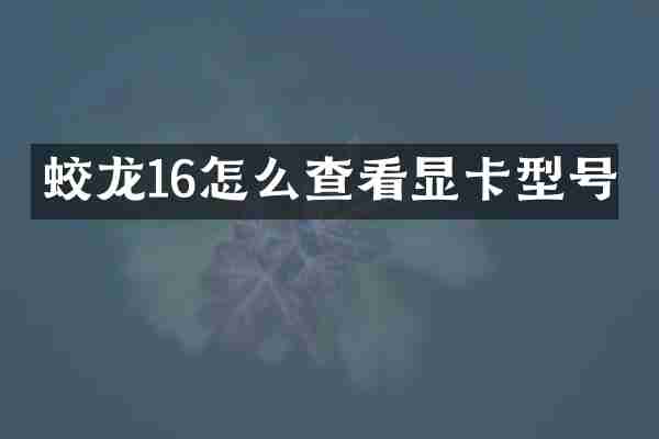 蛟龙16怎么查看显卡型号
