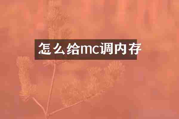 怎么给mc调内存