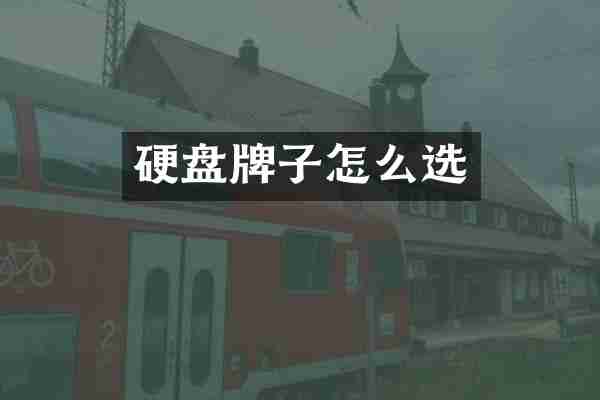硬盘牌子怎么选