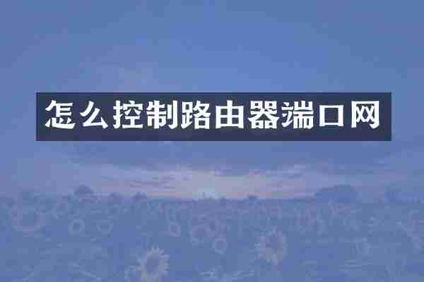 怎么控制路由器端口网