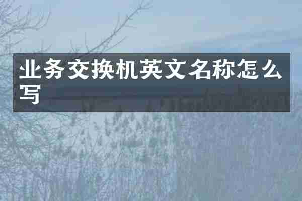 业务交换机英文名称怎么写