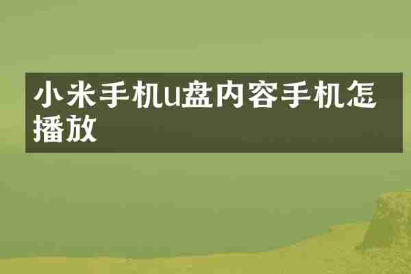 小米手机u盘内容手机怎么播放