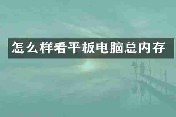 怎么样看平板电脑总内存