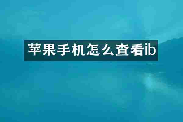 苹果手机怎么查看ib