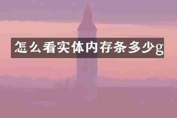 怎么看实体内存条多少g