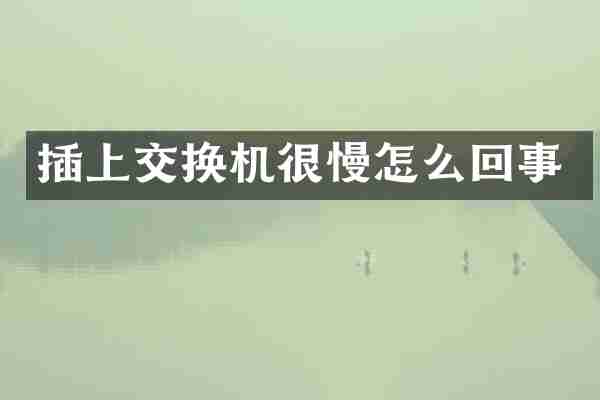 插上交换机很慢怎么回事