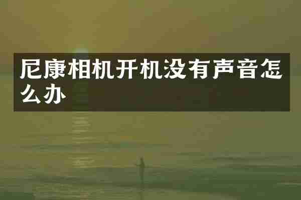 尼康相机开机没有声音怎么办
