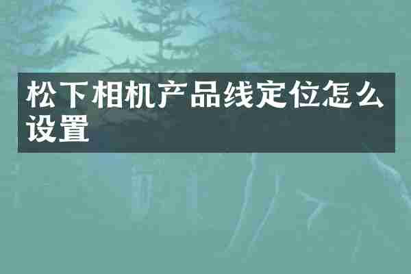 松下相机产品线定位怎么设置