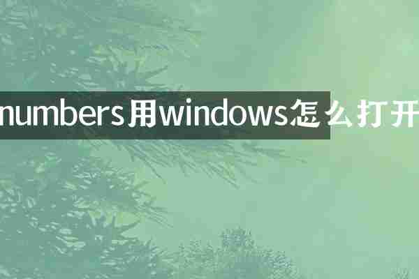 numbers用windows怎么打开