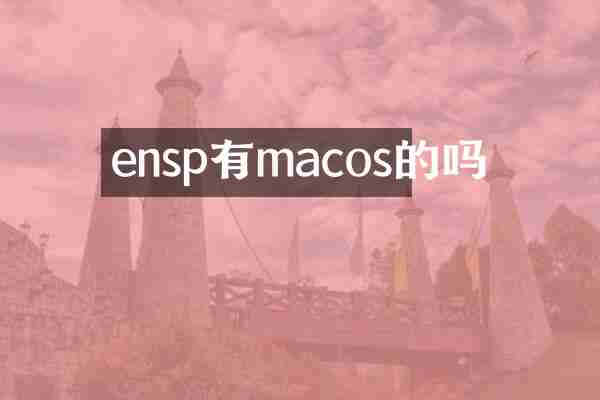 ensp有macos的吗