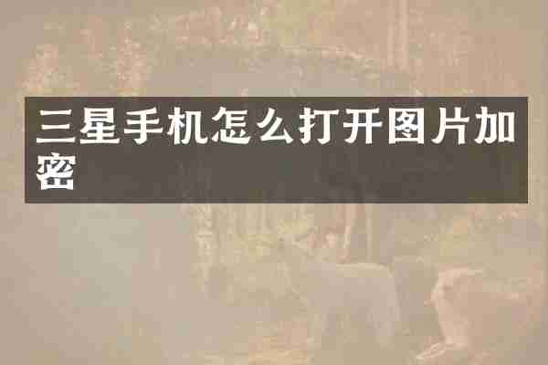 三星手机怎么打开图片加密