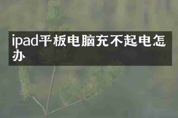 ipad平板电脑充不起电怎么办