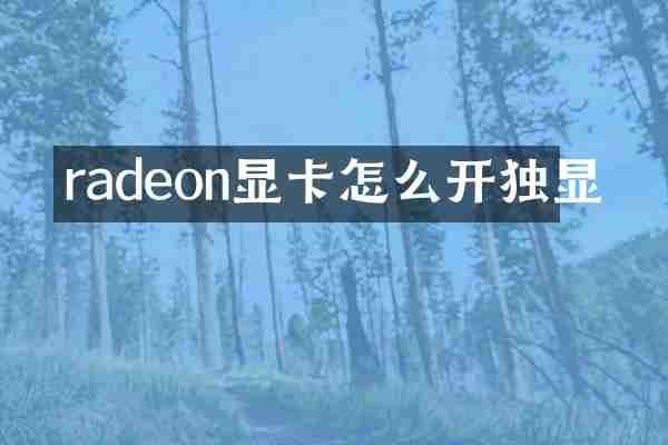 radeon显卡怎么开独显