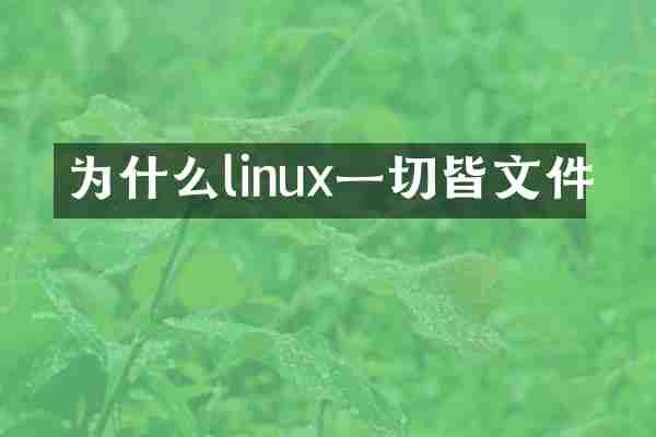 为什么linux一切皆文件