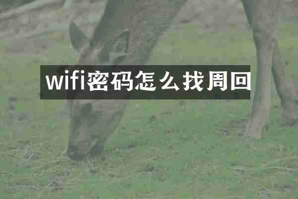 wifi密码怎么找周回