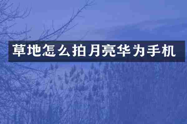 草地怎么拍月亮华为手机