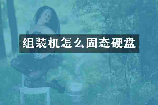组装机怎么固态硬盘