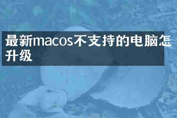 最新macos不支持的电脑怎么升级