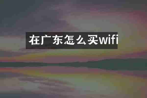在广东怎么买wifi
