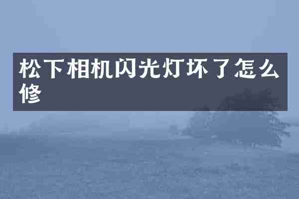 松下相机闪光灯坏了怎么修