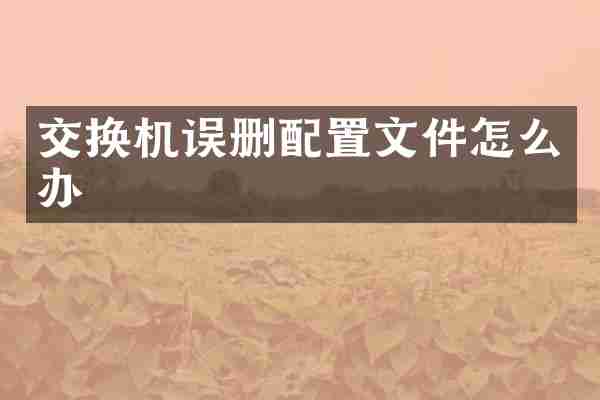 交换机误删配置文件怎么办